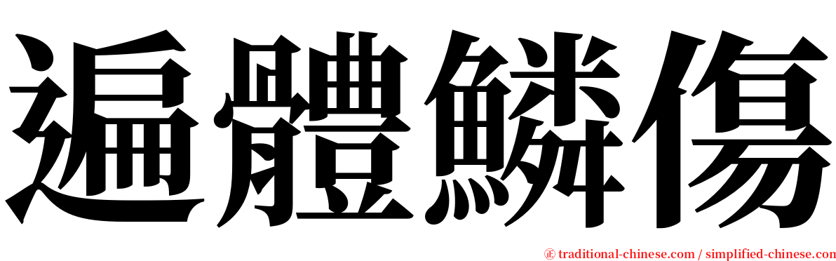 遍體鱗傷 serif font