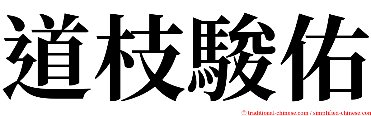 道枝駿佑 serif font