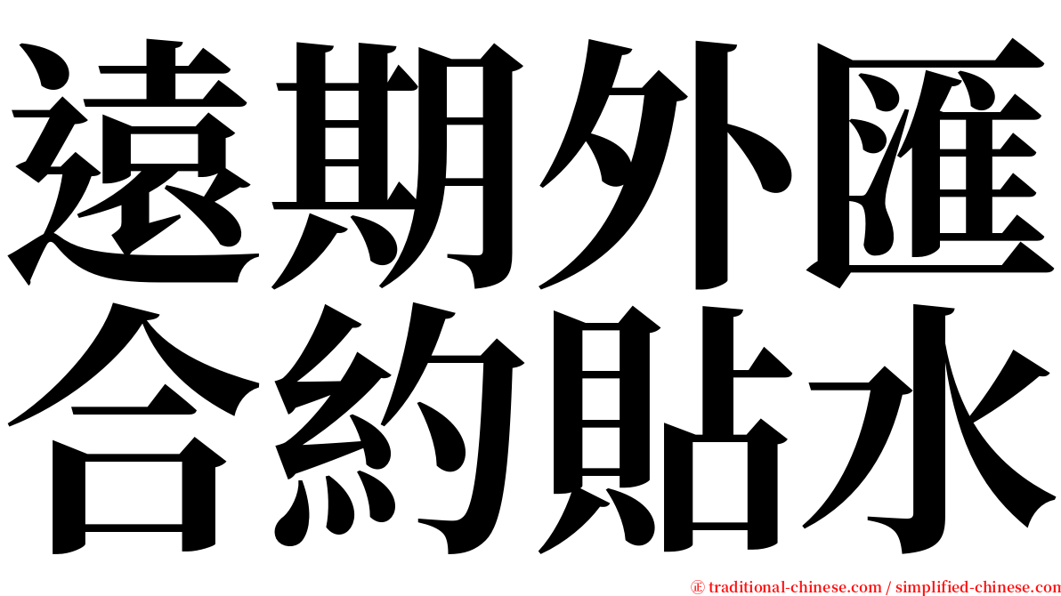 遠期外匯合約貼水 serif font