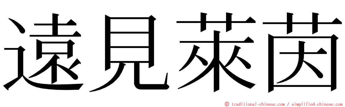 遠見萊茵 ming font