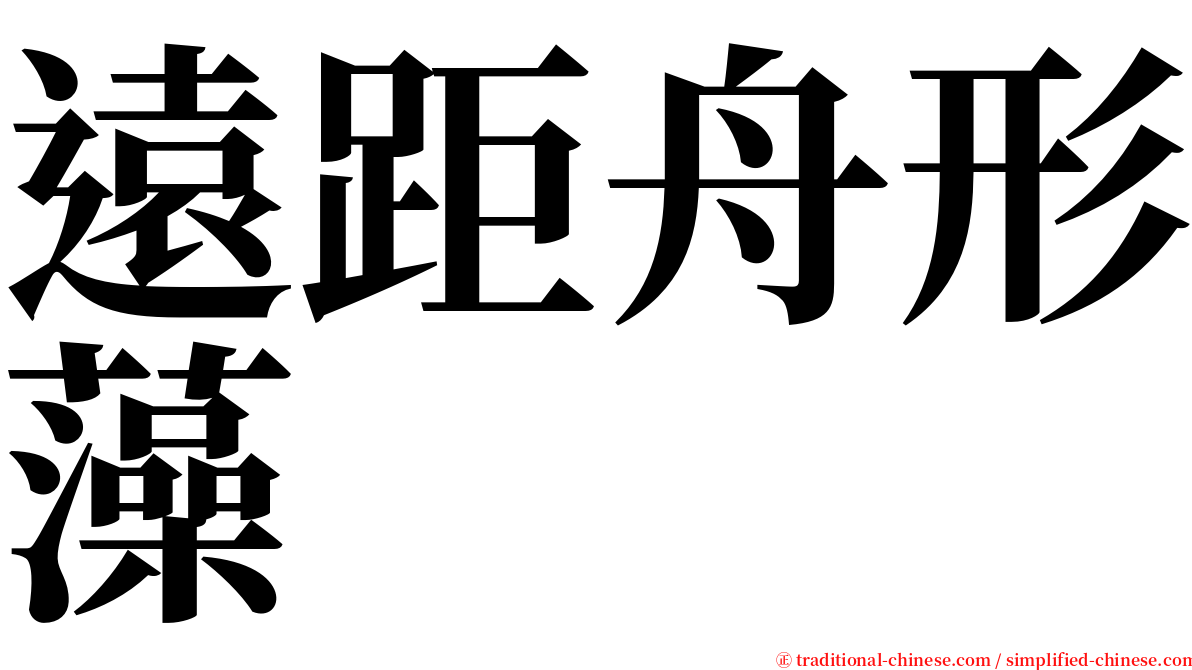 遠距舟形藻 serif font