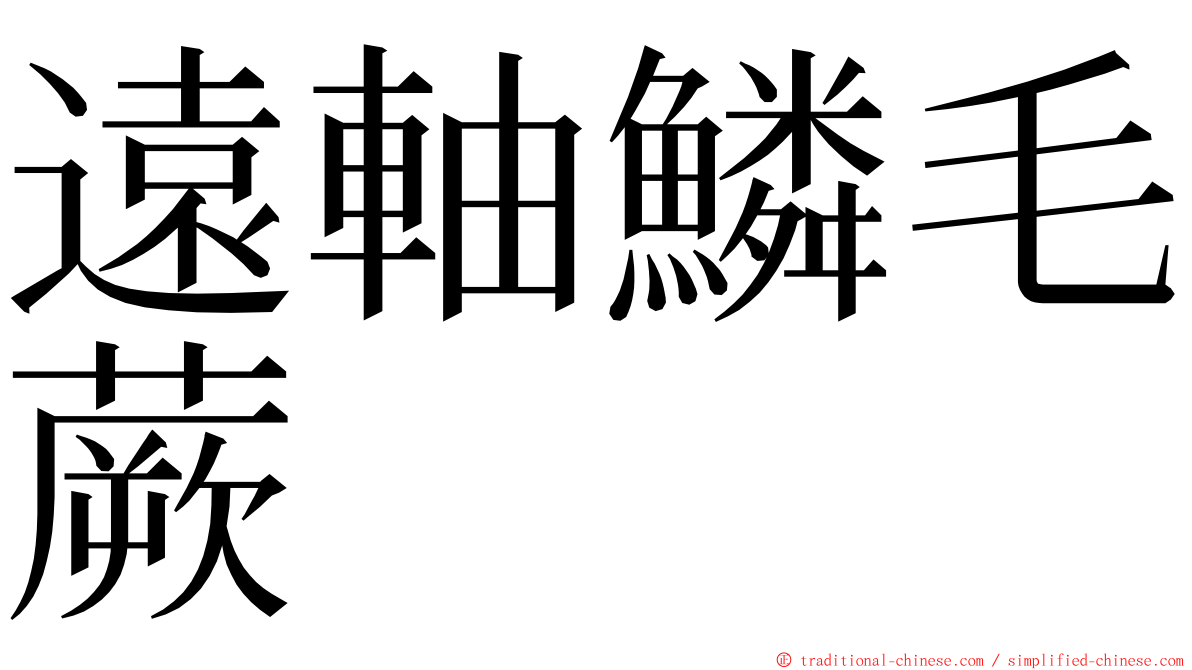 遠軸鱗毛蕨 ming font