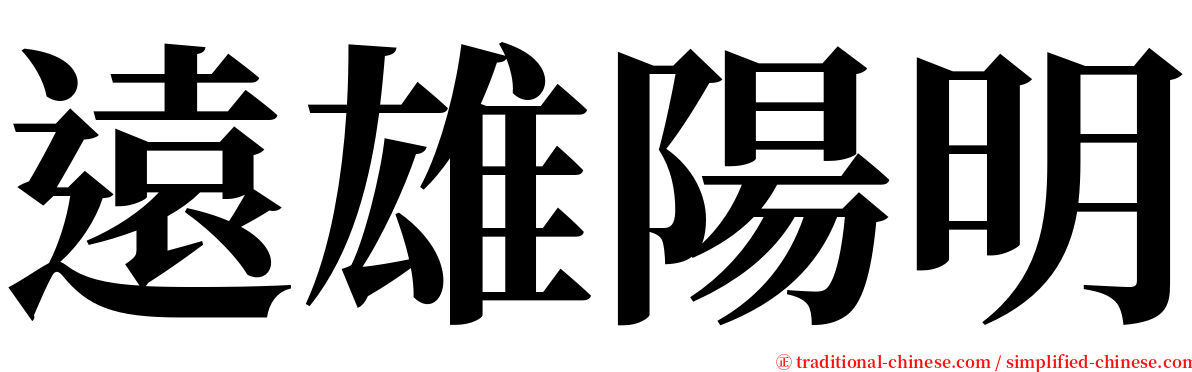 遠雄陽明 serif font