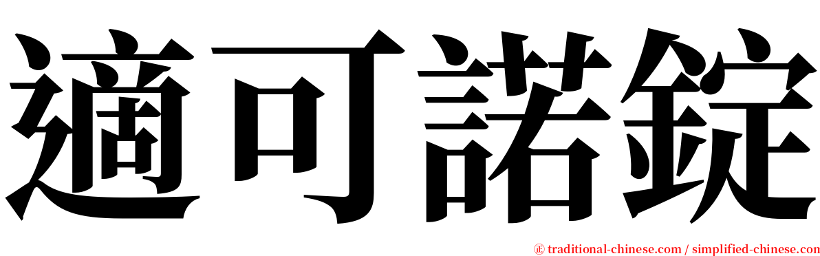 適可諾錠 serif font