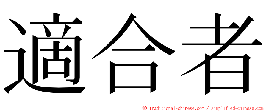 適合者 ming font