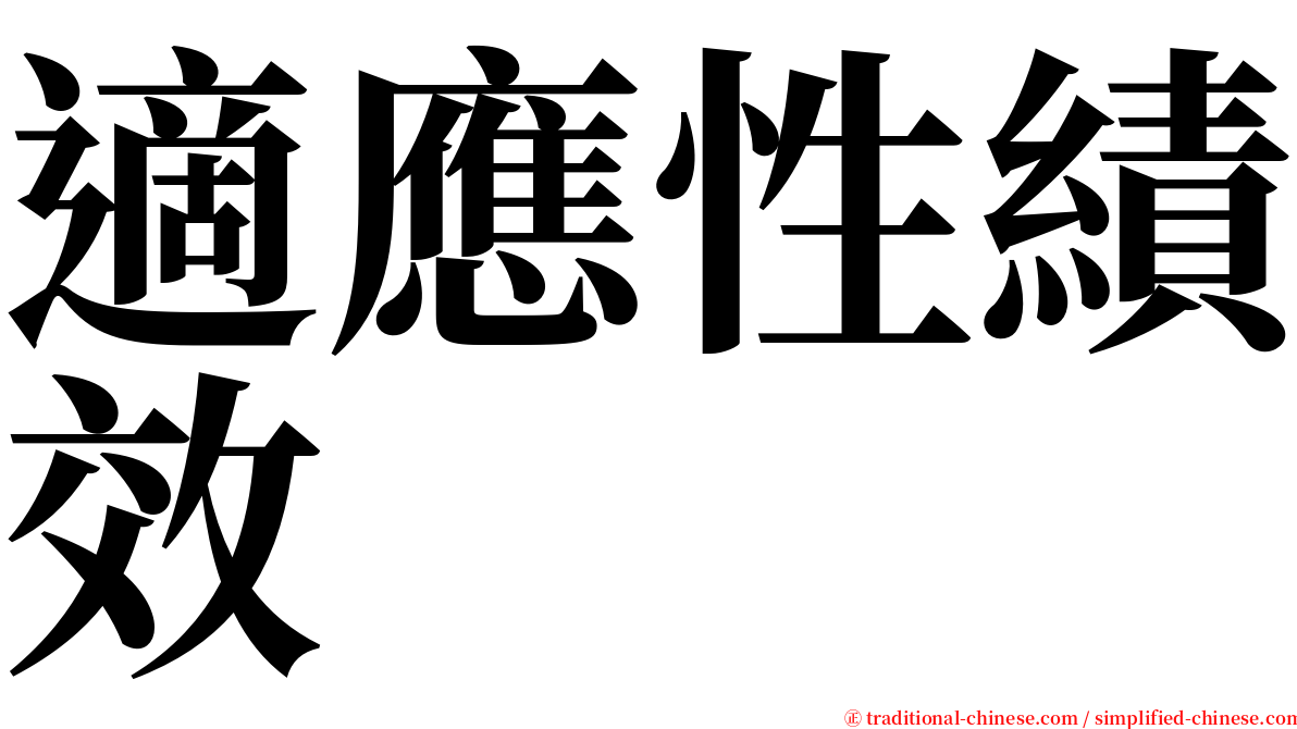 適應性績效 serif font