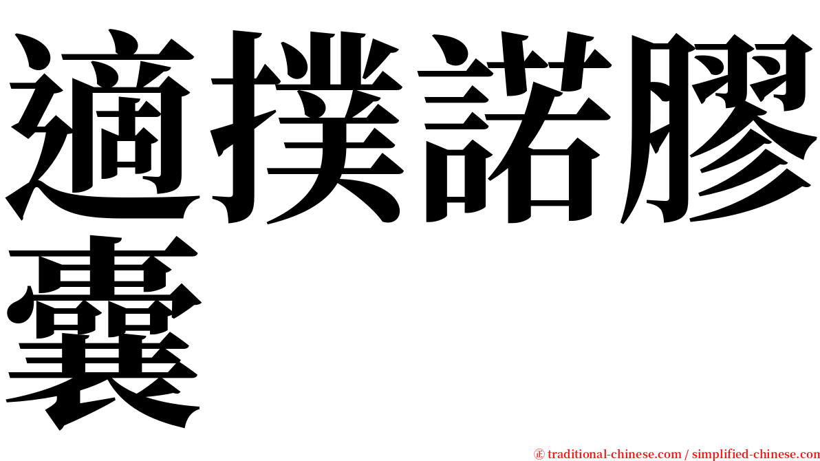 適撲諾膠囊 serif font