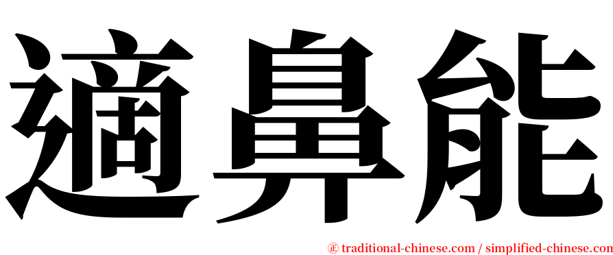 適鼻能 serif font