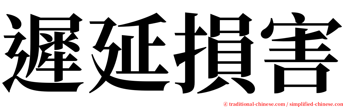 遲延損害 serif font