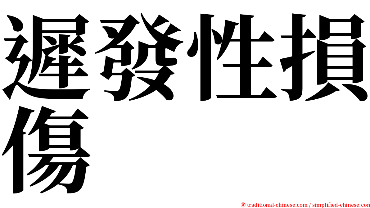 遲發性損傷 serif font