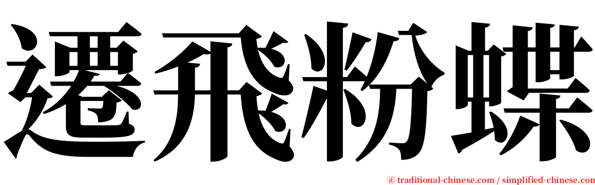 遷飛粉蝶 serif font