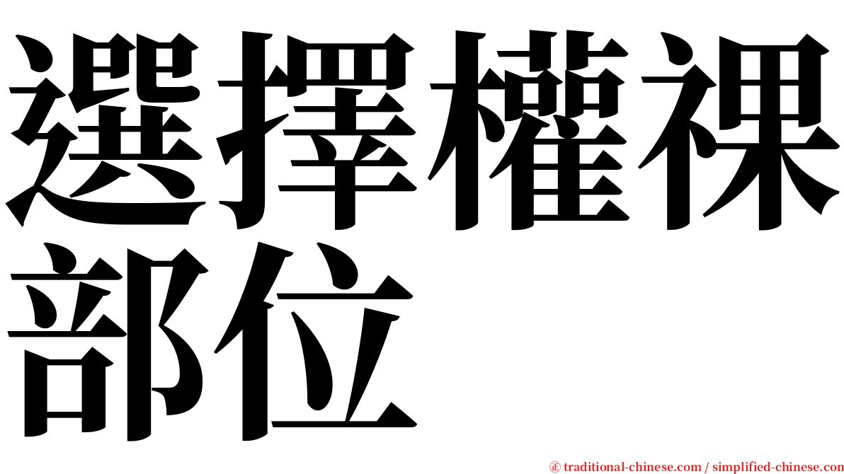 選擇權祼部位 serif font