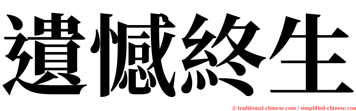 遺憾終生 serif font