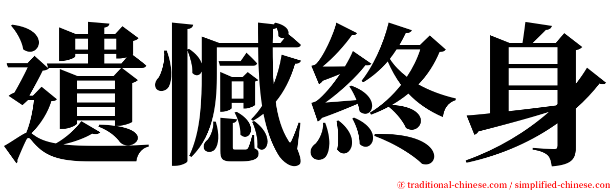 遺憾終身 serif font