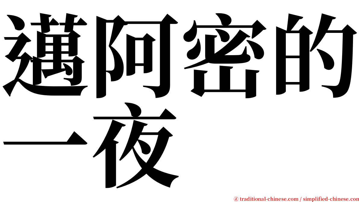 邁阿密的一夜 serif font