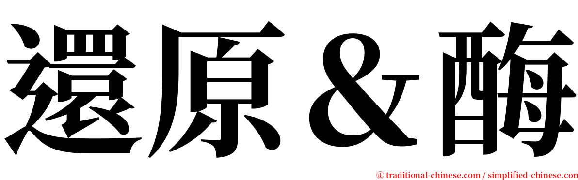 還原＆酶 serif font