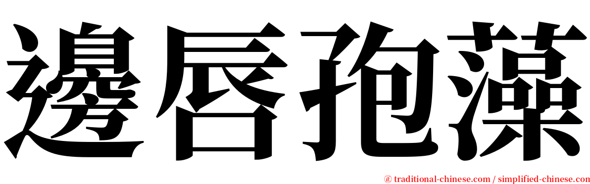 邊唇孢藻 serif font