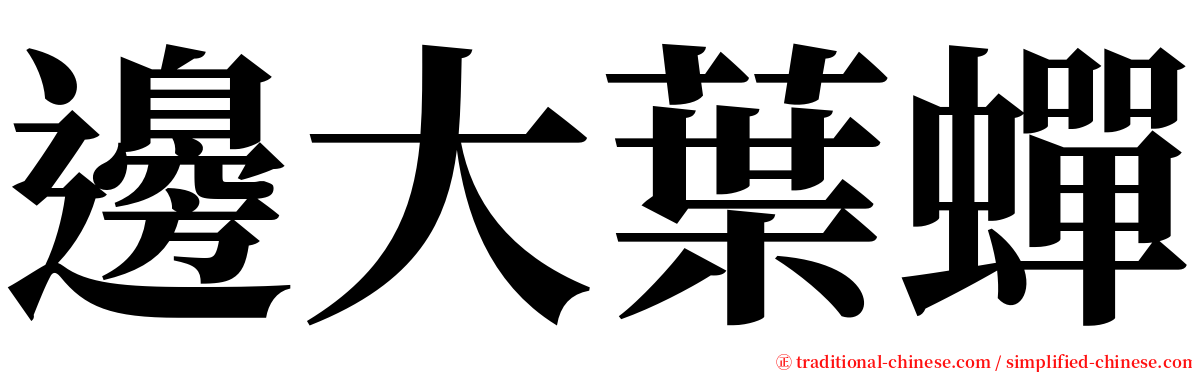 邊大葉蟬 serif font