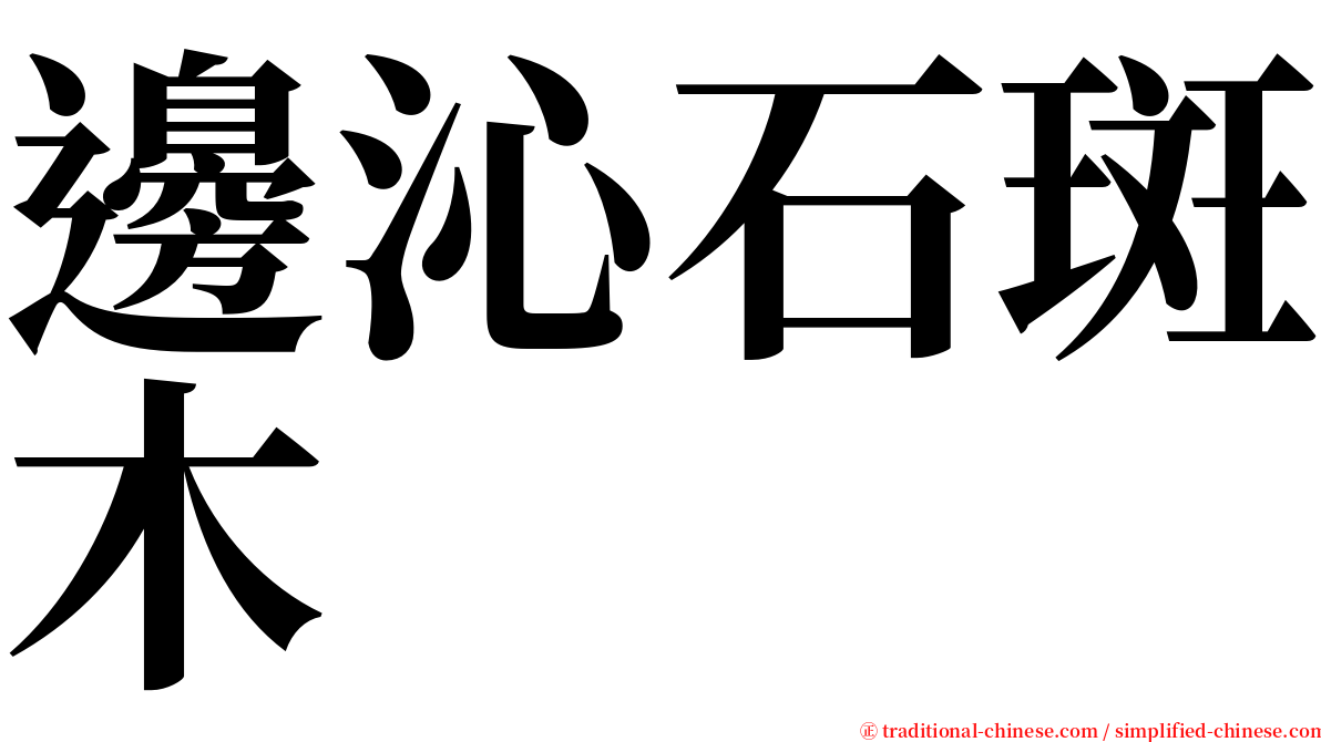 邊沁石斑木 serif font