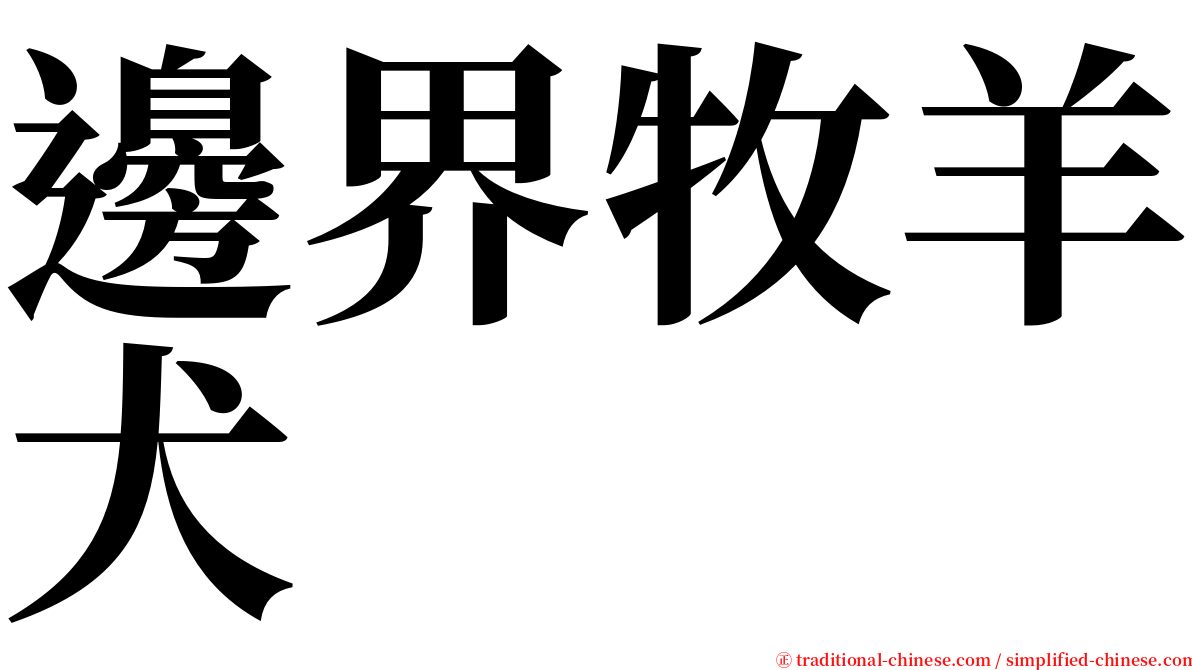 邊界牧羊犬 serif font