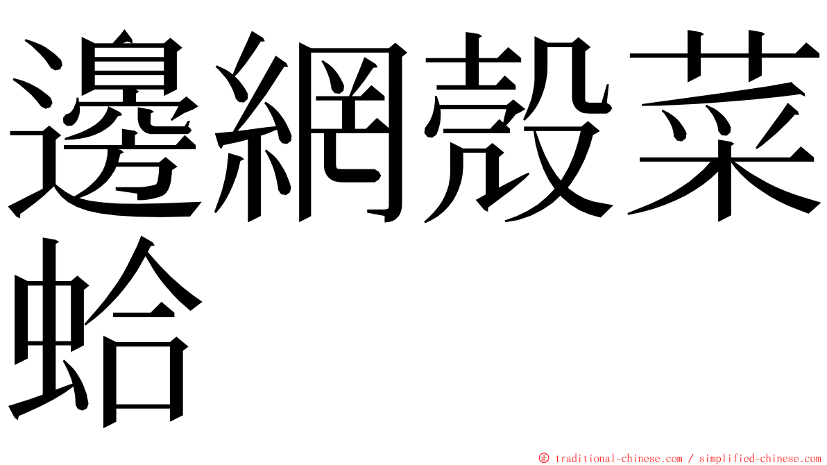 邊網殼菜蛤 ming font