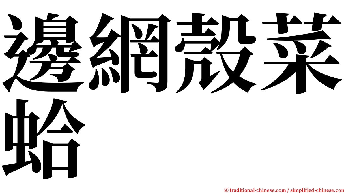 邊網殼菜蛤 serif font