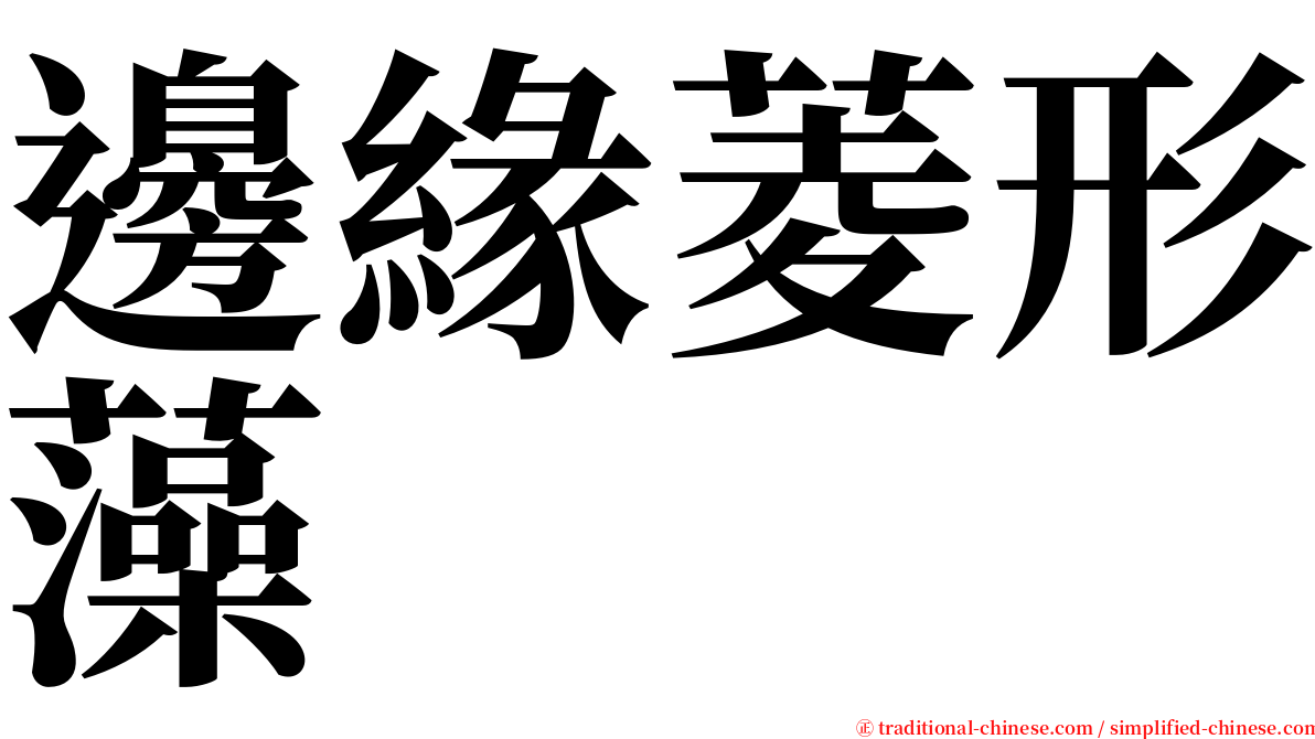 邊緣菱形藻 serif font