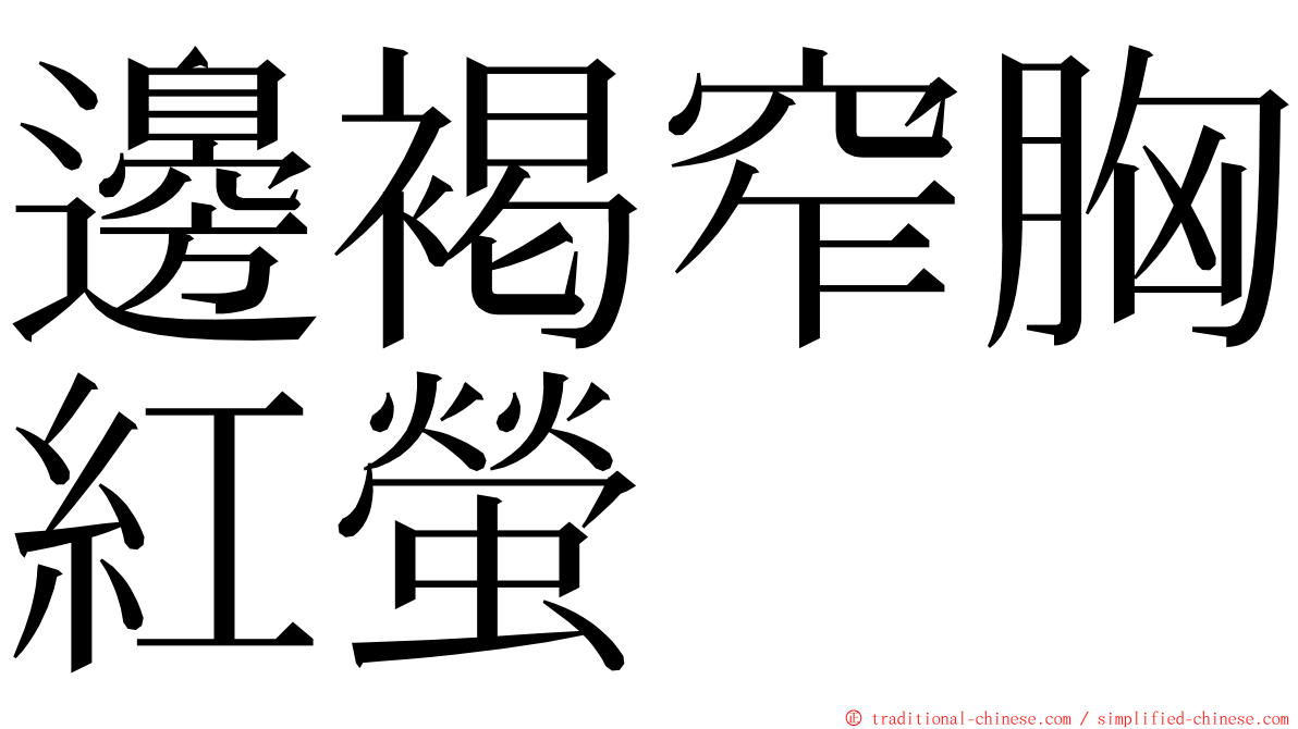 邊褐窄胸紅螢 ming font