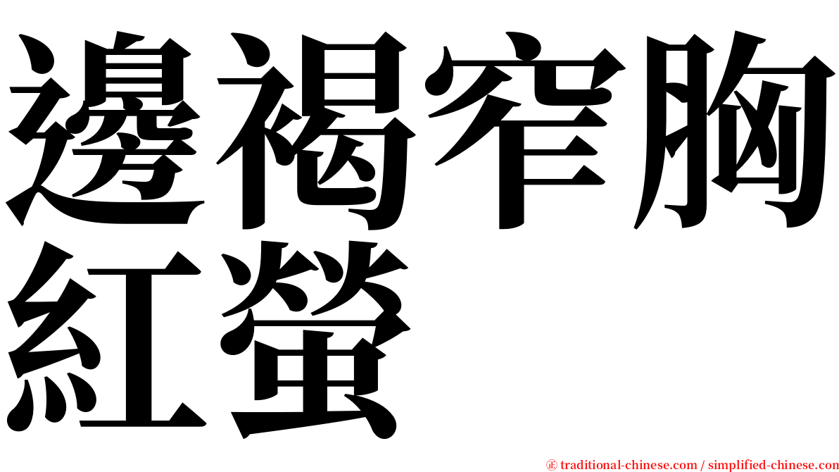 邊褐窄胸紅螢 serif font