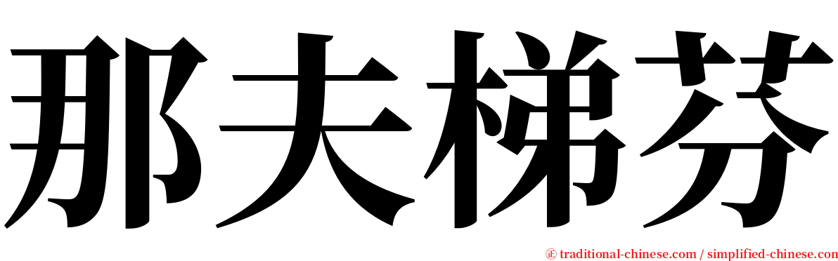 那夫梯芬 serif font