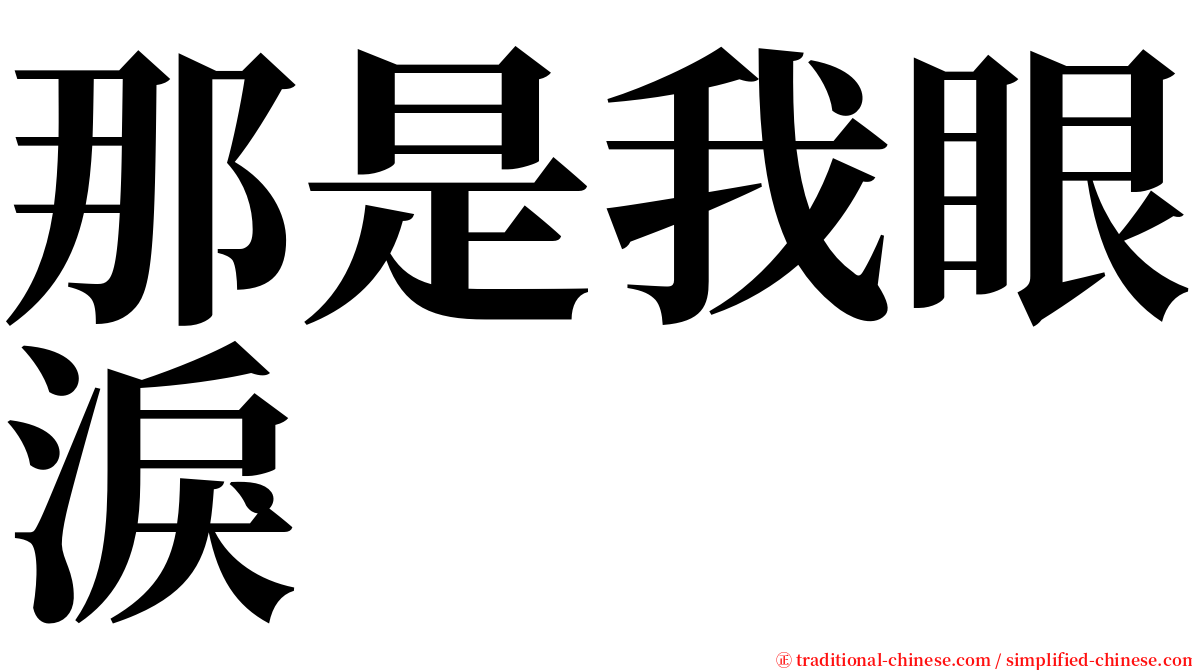 那是我眼淚 serif font