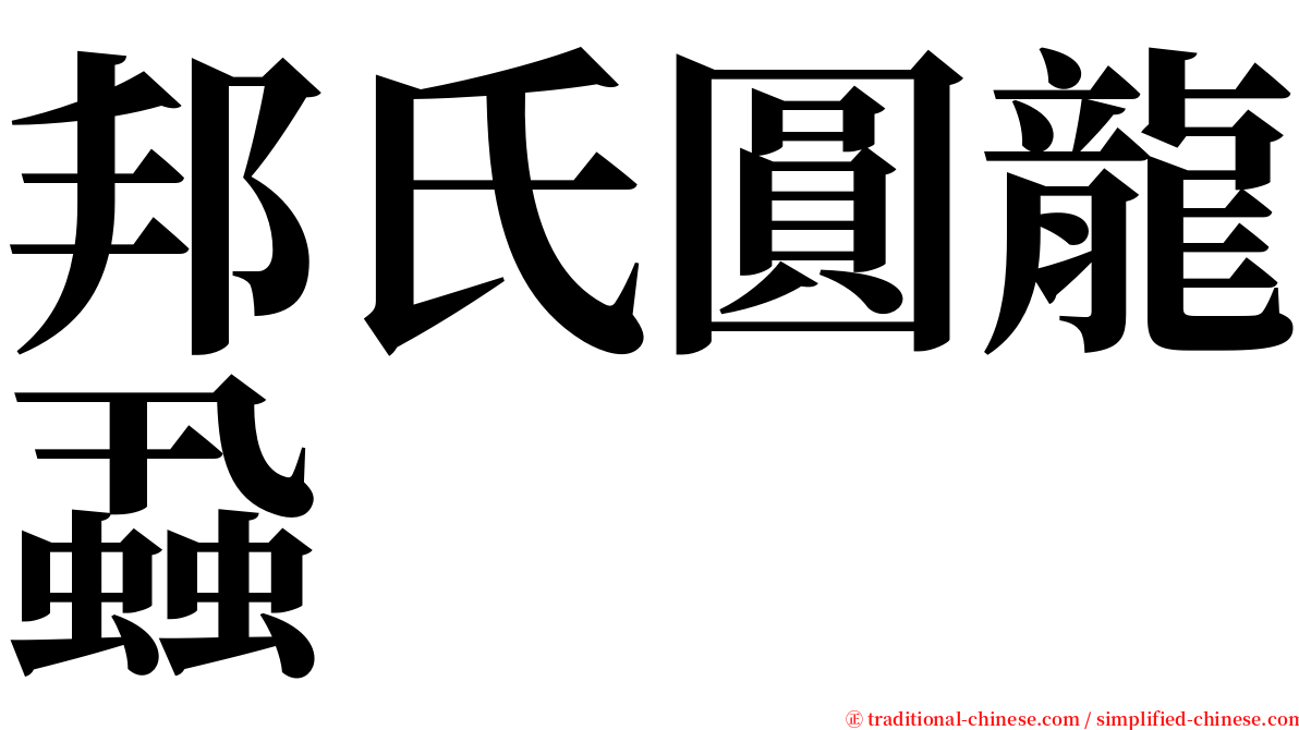 邦氏圓龍蝨 serif font