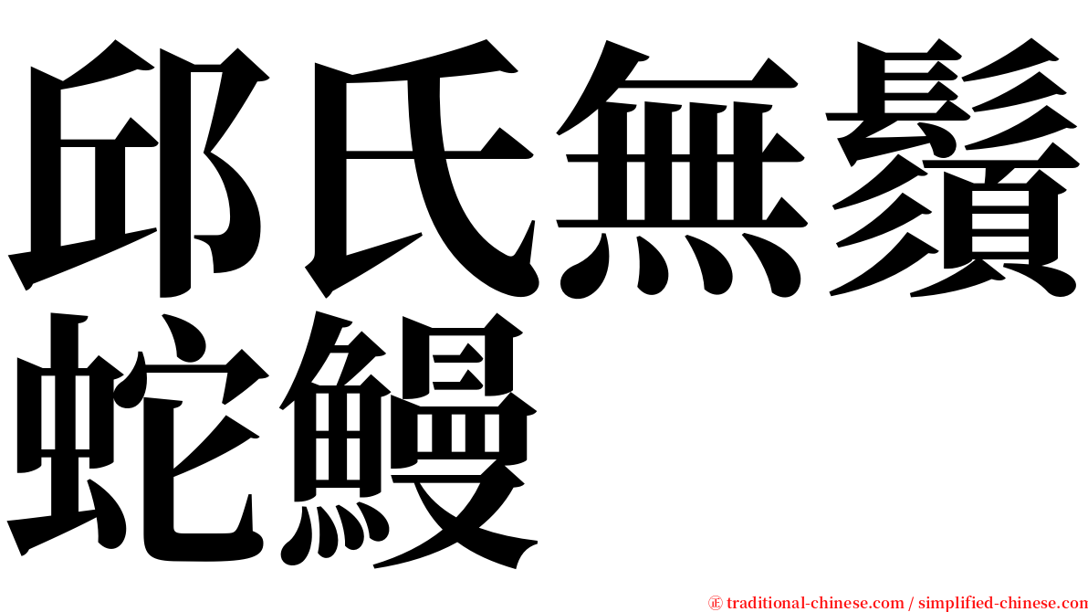 邱氏無鬚蛇鰻 serif font