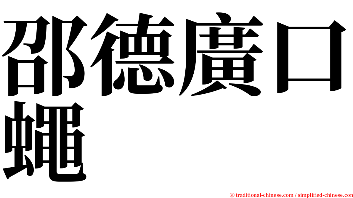 邵德廣口蠅 serif font