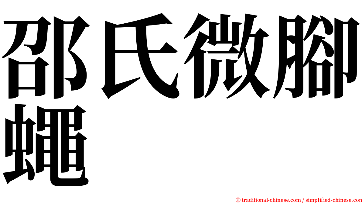 邵氏微腳蠅 serif font