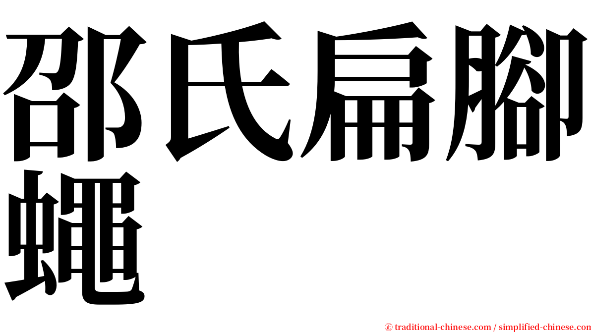 邵氏扁腳蠅 serif font