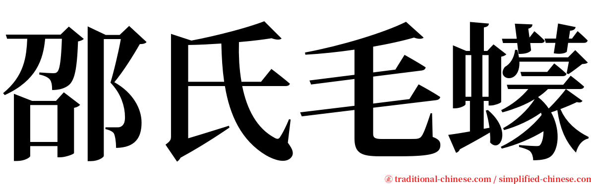 邵氏毛蠓 serif font