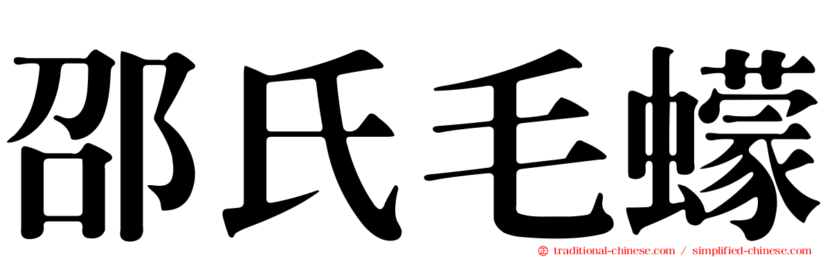 邵氏毛蠓