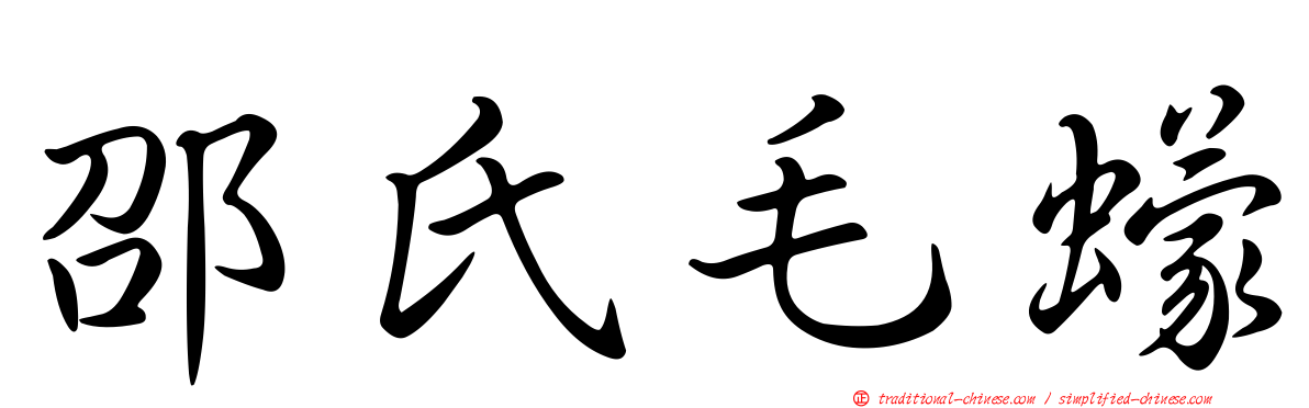 邵氏毛蠓