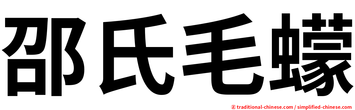 邵氏毛蠓