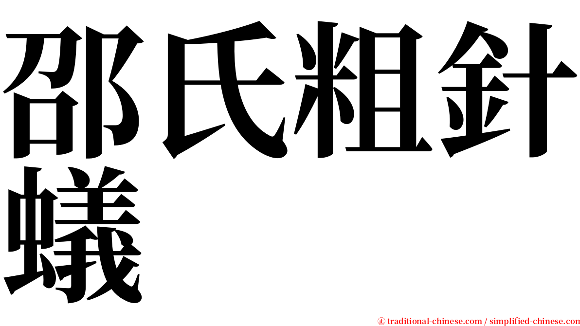 邵氏粗針蟻 serif font