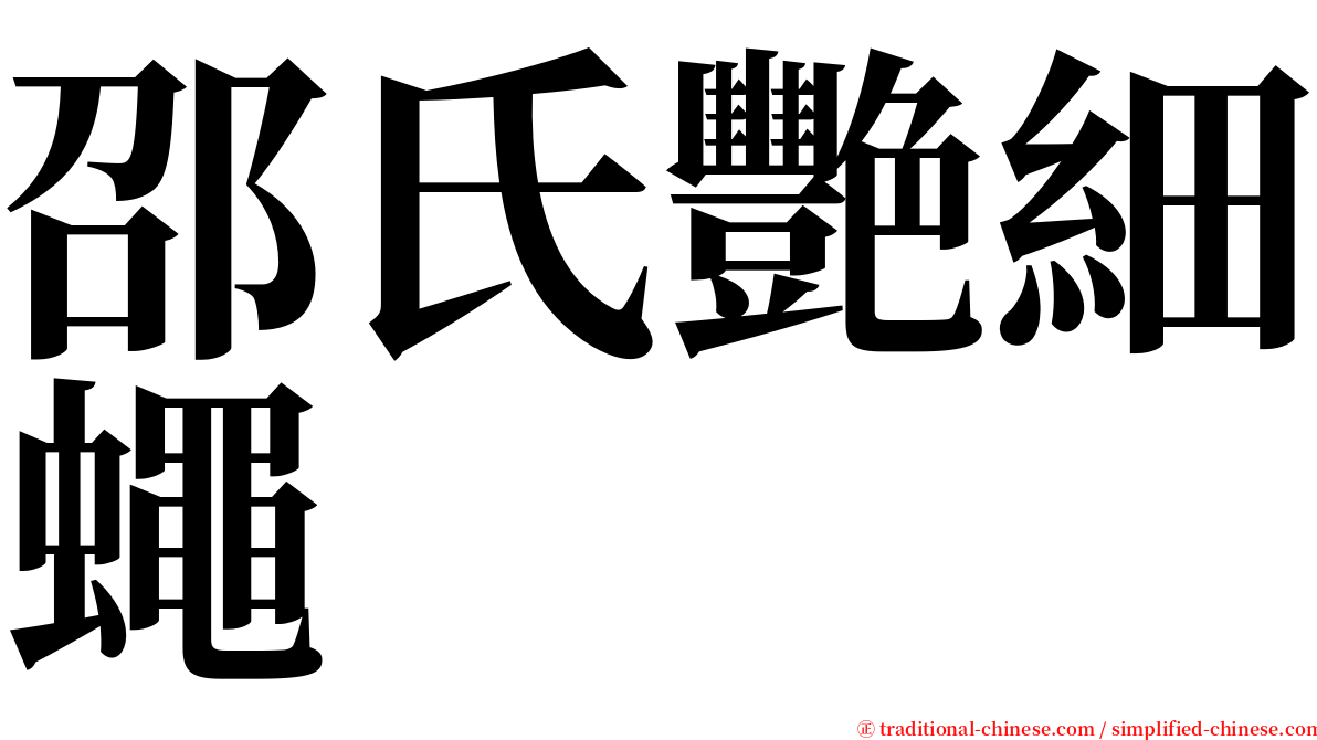 邵氏艷細蠅 serif font