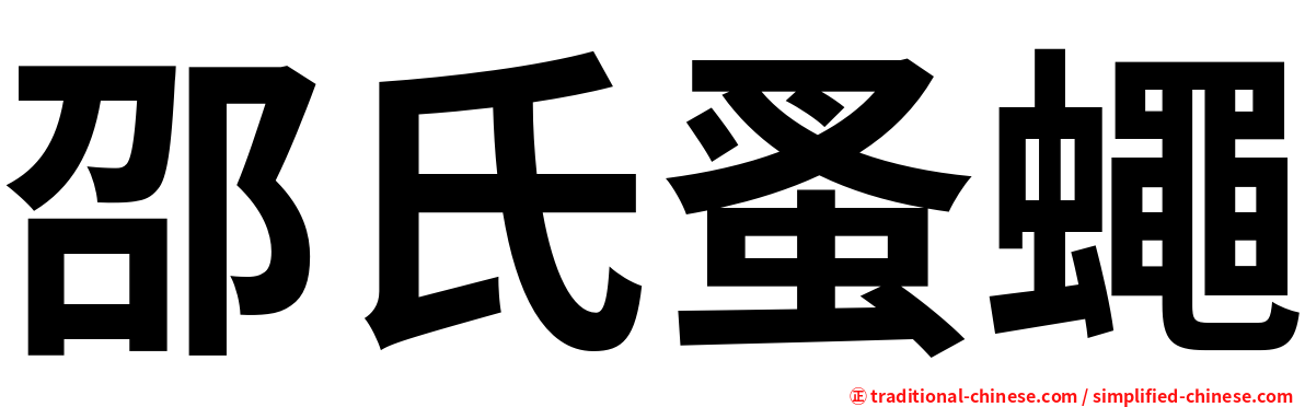 邵氏蚤蠅