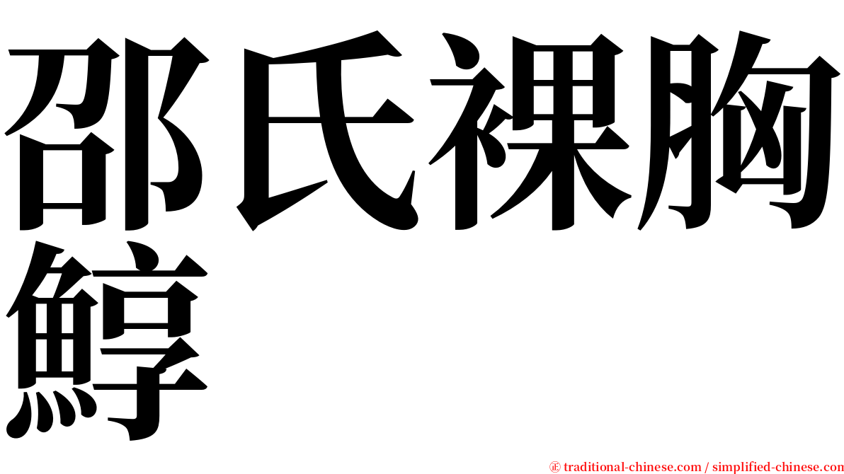 邵氏裸胸鯙 serif font