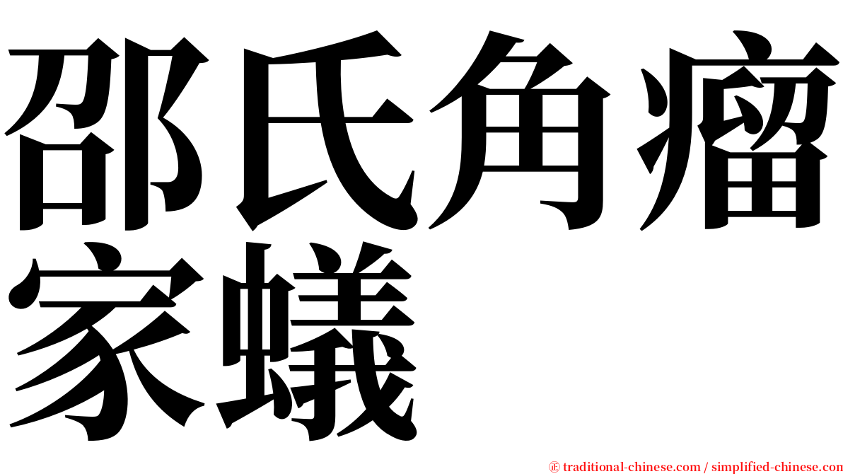 邵氏角瘤家蟻 serif font