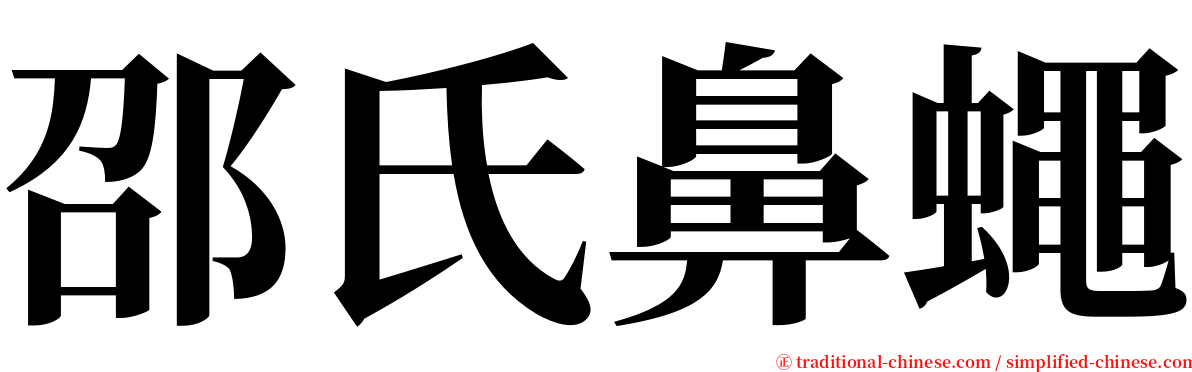 邵氏鼻蠅 serif font