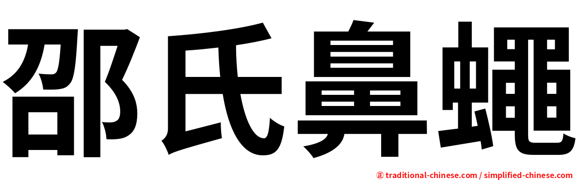 邵氏鼻蠅