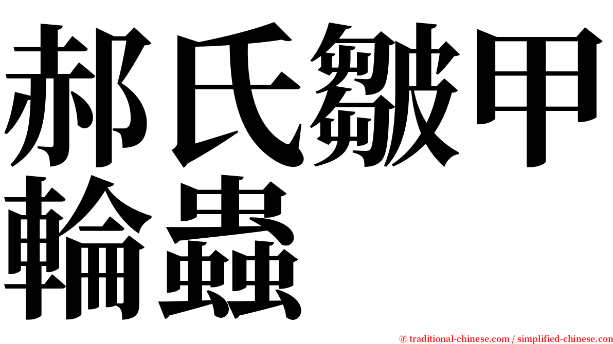 郝氏皺甲輪蟲 serif font