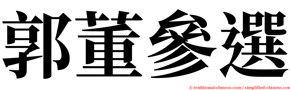 郭董參選 serif font