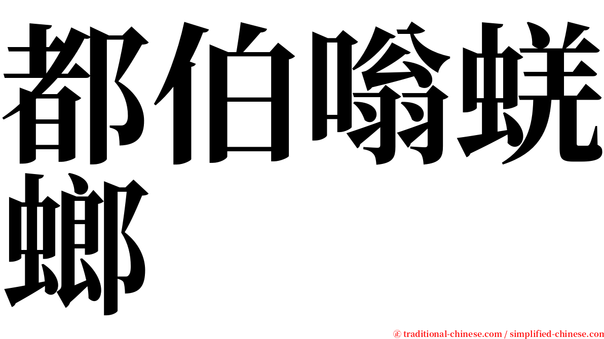 都伯嗡蜣螂 serif font